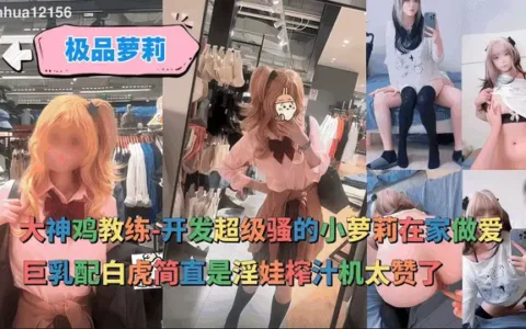 开发萝莉在家做爱 巨乳+白虎榨汁神器 【1080P】 [1v+360M][百度盘]